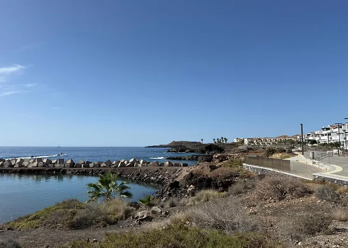 Amarilla * 산미겔데아보나